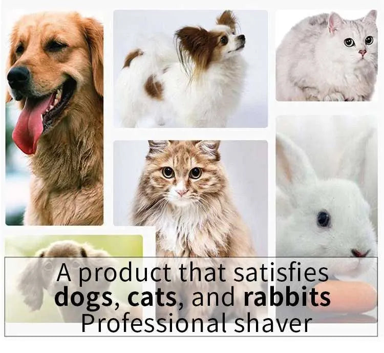 Koda Edge™ Precision Pet Clipper